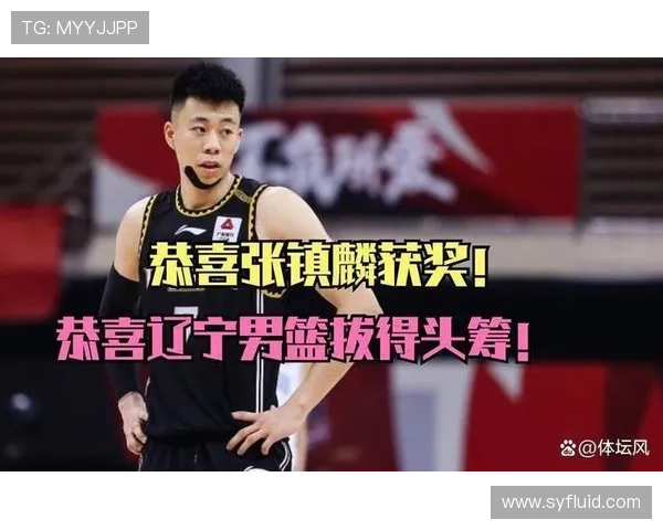 深圳篮球队总决赛技术分析与表现评估全面解读