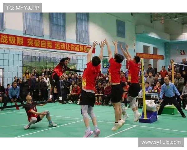 全国锦标赛回顾：上海排球队展现卓越团队协作精神与默契配合